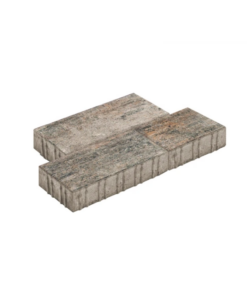 Diephaus Via Lineo Muschelkalk Pe2